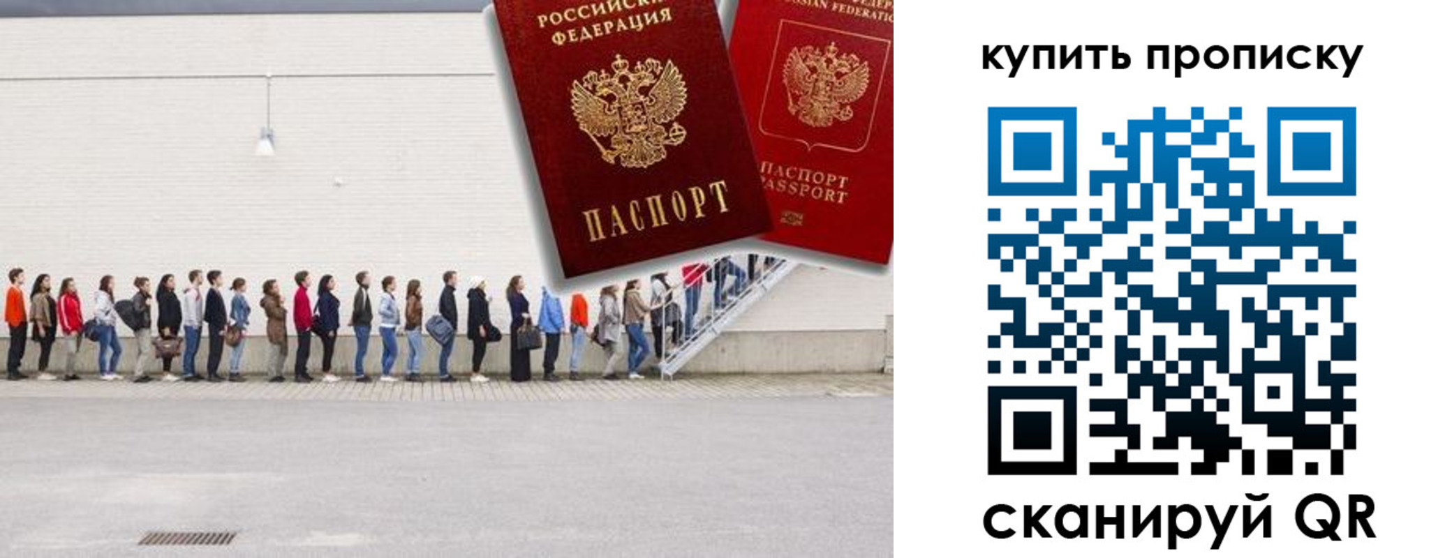 прописка штамп в Лузе